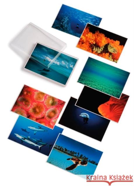 David Doubilet; Water Light Time Postcards David Doubilet 9780714842271