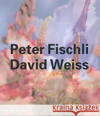 Peter Fischli David Weiss Beate Soentgen Robert Fleck Arthur C. Danto 9780714843230 Phaidon Press