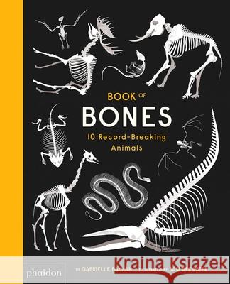 Book of Bones: 10 Record-Breaking Animals Gabrielle Balkan Sam Brewster 9780714875125 Phaidon Press