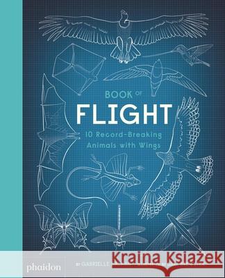 Book of Flight: 10 Record-Breaking Animals with Wings Sam Brewster 9780714878638 Phaidon Press