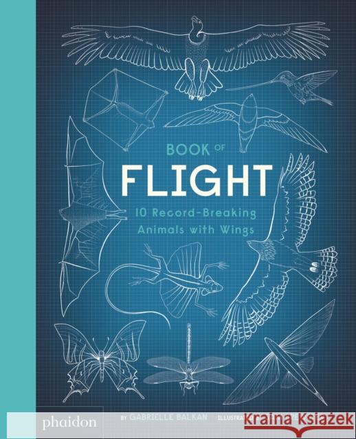 Book of Flight : 10 Record-Breaking Animals with Wings Gabrielle Balkan Sam Brewster  9780714878683