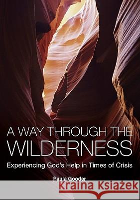 A Way Through the Wilderness: Experiencing God's Help in Times of Crisis Paula Gooder 9780715141885 0