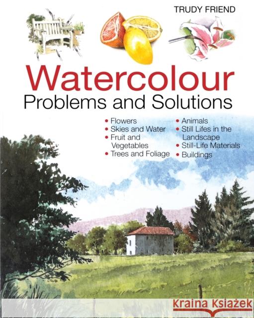 Watercolour Problems and Solutions : A Trouble-Shooting Handbook Trudy Friend 9780715314579 David & Charles Publishers