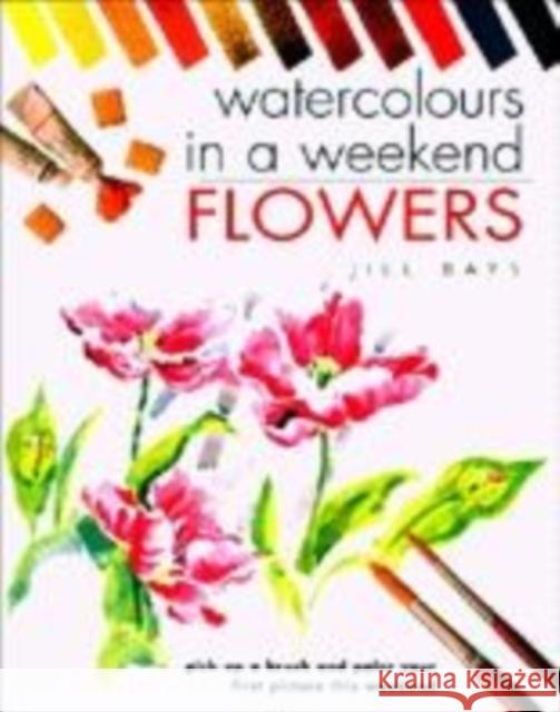 WATERCOLOURS IN A WEEKEND Jill Bays 9780715316368 DAVID & CHARLES PLC