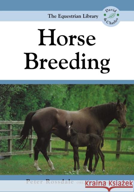 Horse Breeding Peter Rossdale 9780715316559