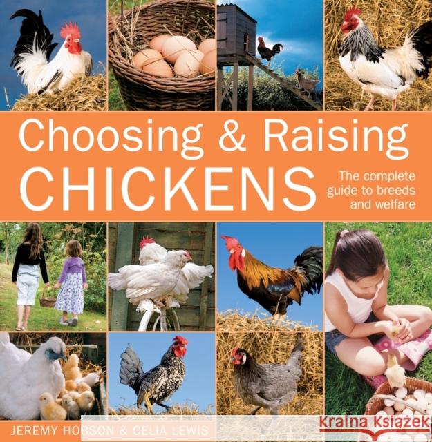 Choosing and Raising Chickens Celia Lewis, Celia Lewis 9780715333105 David & Charles