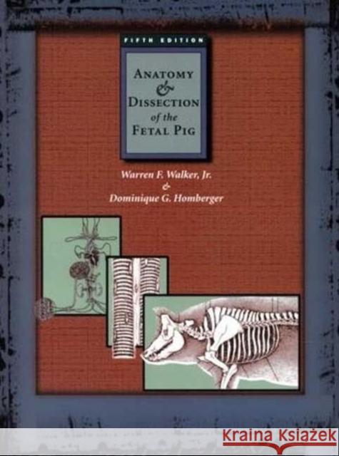 Anatomy and Dissection of the Fetal Pig Walker                                   Warren F. Walker Dominique G. Homberger 9780716726371