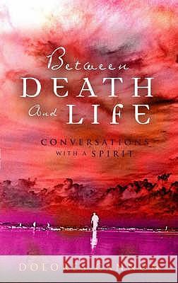 Between Death and Life: Conversations with a Spirit Dolores Cannon 9780717136223