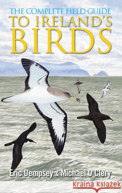 The Complete Field Guide to Ireland's Birds Michael O'Clery 9780717146680