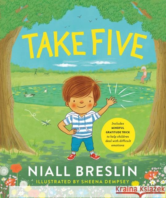 Take Five Niall Breslin 9780717188130