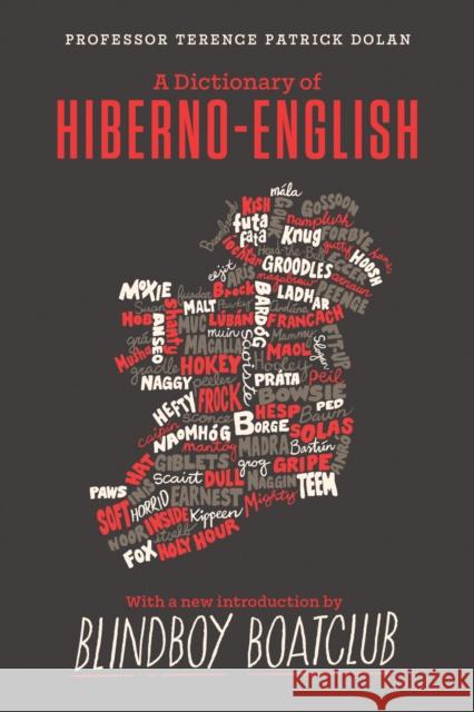 A Dictionary of Hiberno English Terence Patrick Dolan 9780717190201 Gill Books