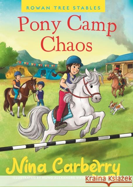 Rowan Tree Stables 2 - Pony Camp Chaos Nina Carberry 9780717198726