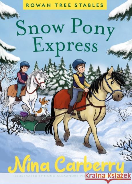 Rowan Tree Stables 3 - Snow Pony Express Nina Carberry 9780717198733