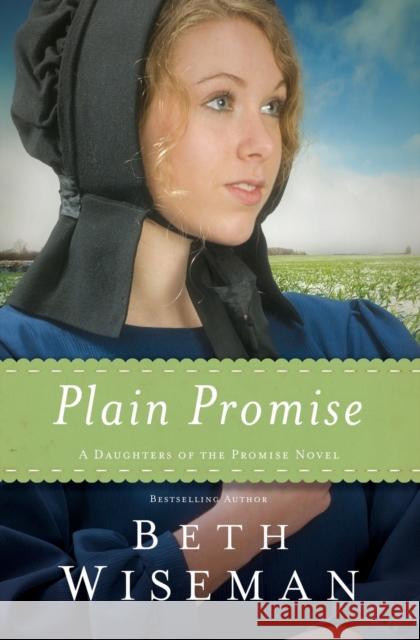 Plain Promise Beth Wiseman 9780718030988 Thomas Nelson Publishers