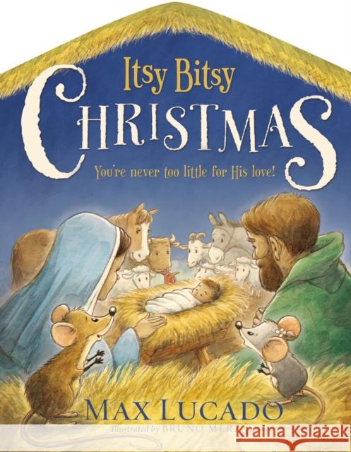 Itsy Bitsy Christmas: A Reimagined Nativity Story for Advent and Christmas Lucado, Max 9780718088873 Thomas Nelson