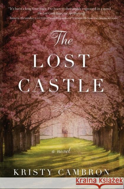 The Lost Castle: A Split-Time Romance Kristy Cambron 9780718095468 Thomas Nelson