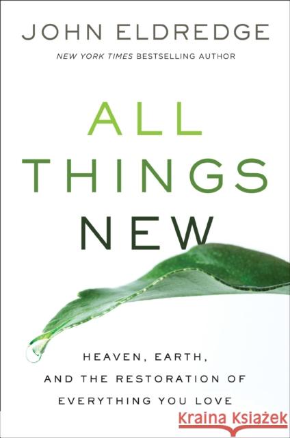 All Things New: Heaven, Earth, and the Restoration of Everything You Love John Eldredge 9780718098933