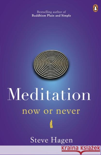 Meditation Now or Never Steve Hagen 9780718193041