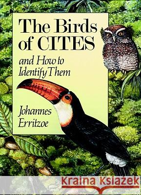 Birds of Cites: And How to Identify Them Erritzoe, Johannes 9780718828912 Lutterworth Press