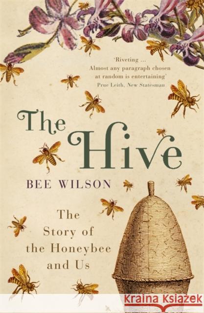 The Hive Bee Wilson 9780719565984 John Murray Press