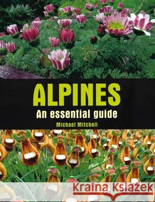 Alpines: An essential guide Michael Mitchell 9780719840852