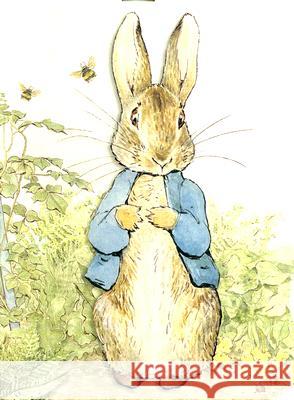 Peter Rabbit Beatrix Potter 9780723259565 Frederick Warne and Company