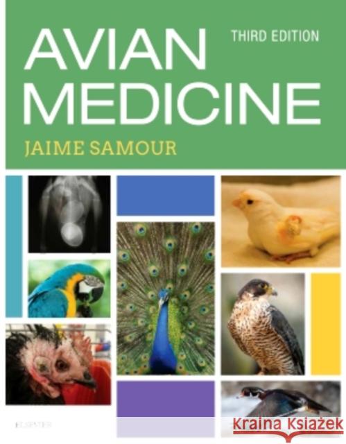 Avian Medicine Jaime Samour 9780723438328 Mosby