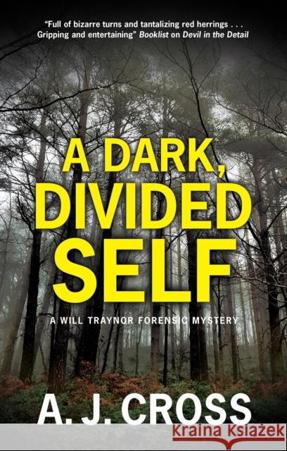 A Dark, Divided Self A.J. Cross 9780727850362 Canongate Books