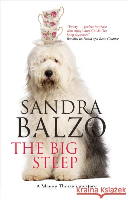 The Big Steep Sandra Balzo 9780727890580 Canongate Books