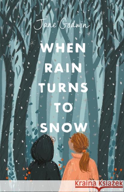 When Rain Turns to Snow Jane Godwin 9780734420053