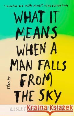 What It Means When a Man Falls from the Sky: Stories Lesley Nneka Arimah 9780735211032 Riverhead Books