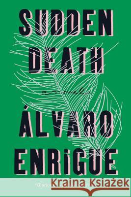 Sudden Death Alvaro Enrigue Natasha Wimmer 9780735213449 Riverhead Books