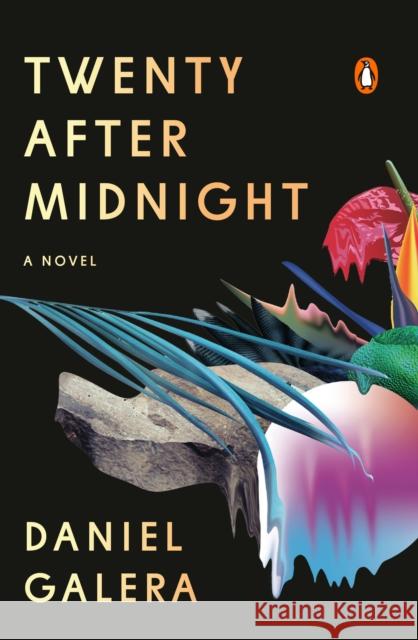 Twenty After Midnight : A Novel Daniel Galera Julia Sanches 9780735224797 Penguin Books