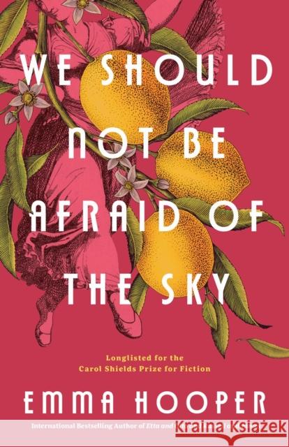 We Should Not Be Afraid of the Sky Emma Hooper 9780735232761 Prentice Hall Press