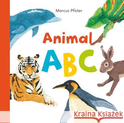 Animal ABC Marcus Pfister 9780735841369 0