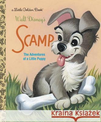 Scamp (Disney Classic) Golden Books 9780736423113 Random House Disney