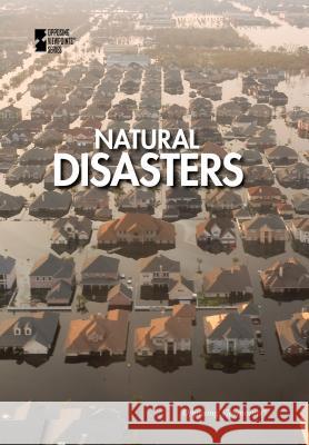 Natural Disasters Lynn Zott 9780737760613 Greenhaven Press