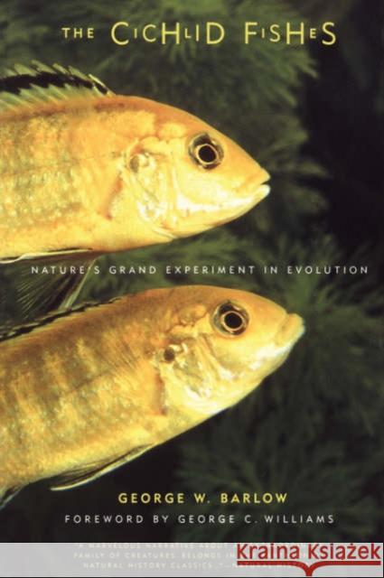 The Cichlid Fishes: Nature's Grand Experiment in Evolution George W. Barlow 9780738205281 Perseus Books Group