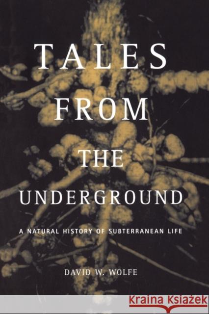 Tales from the Underground: A Natural History of Subterranean Life Wolfe, David 9780738206790 Perseus Publishing
