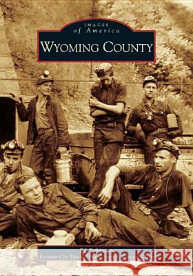 Wyoming County Ed Robinson David Bugs Stover 9780738541730 Arcadia Publishing (SC)