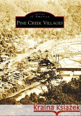 Pine Creek Villages David Ira Kagan 9780738556635 Arcadia Publishing