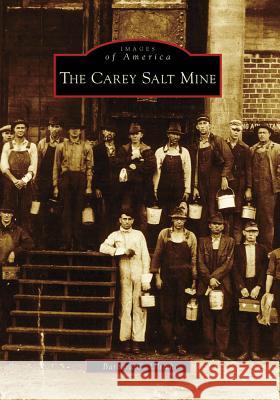 The Carey Salt Mine Barbara C. Ulrich 9780738561806 Arcadia Publishing
