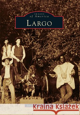 Largo James Anthony Schnur 9780738582214