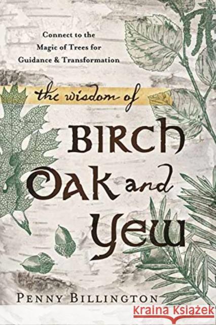 The Wisdom of Birch, Oak, and Yew: Connect to the Magic of Trees for Guidance and Transformation Penny Billington 9780738740904 Llewellyn Publications