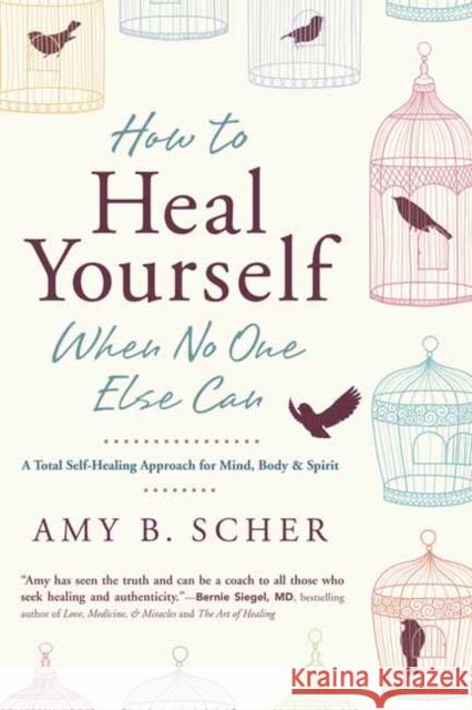 How to Heal Yourself When No One Else Can: A Total Self-Healing Approach for Mind, Body, and Spirit Amy B. Scher 9780738745541