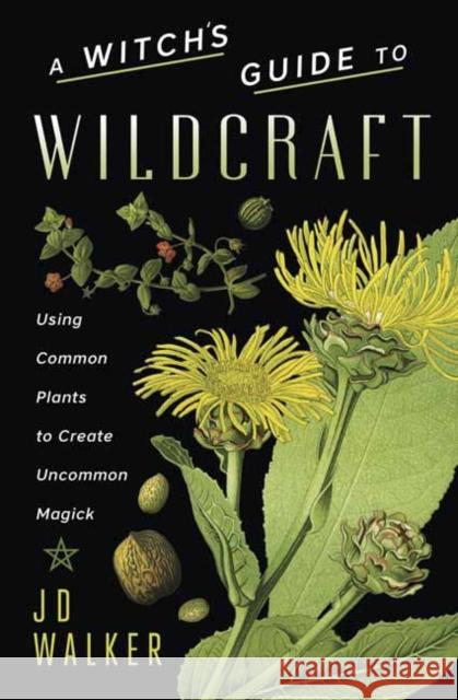 A Witch's Guide to Wildcraft: Using Common Plants to Create Uncommon Magick Jd Hortwort Jd Walker 9780738765433 Llewellyn Publications
