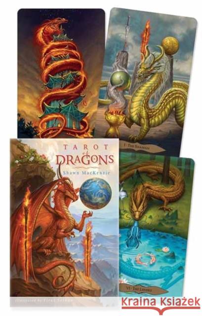 Tarot of Dragons Shawn MacKenzie Firat Solhan 9780738766294 Llewellyn Publications