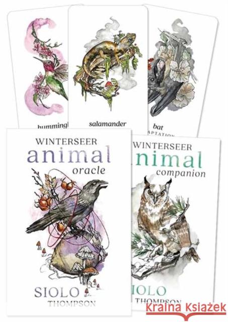 Winterseer Animal Oracle Siolo Thompson 9780738767949
