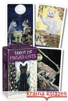 Tarot of Pagan Cats Mini Deck Messina, Magdelina 9780738769745 Llewellyn Publications