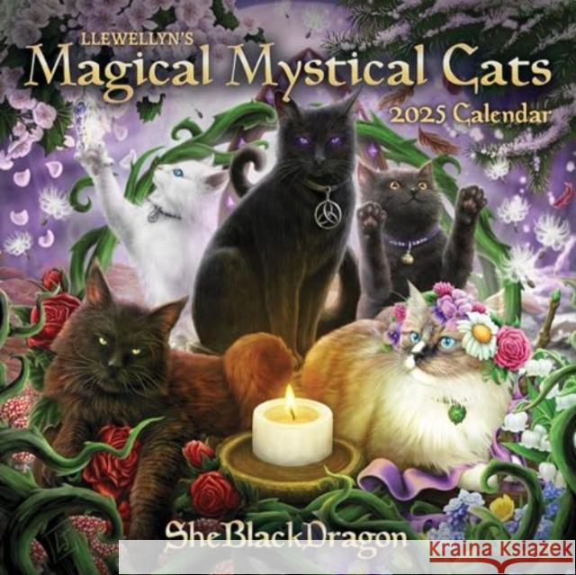 Llewellyn's 2025 Magical Mystical Cats Calendar Llewellyn                                Sheblackdragon 9780738771953 Llewellyn Publications,U.S.